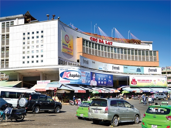 Hỗ trợ thuế hộ kinh doanh Lâm Đồng – kê khai & báo cáo thuế chuẩn luật