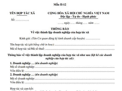 Thông báo về việc thành lập doanh nghiệp của hợp tác xã (Phụ lục II-12, Thông tư số 09/2024/TT-BKHĐT)